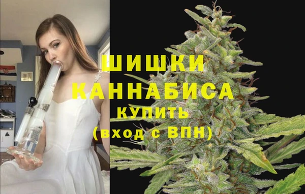 дживик Балашиха
