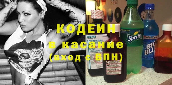 ГАЛЛЮЦИНОГЕННЫЕ ГРИБЫ Лагань