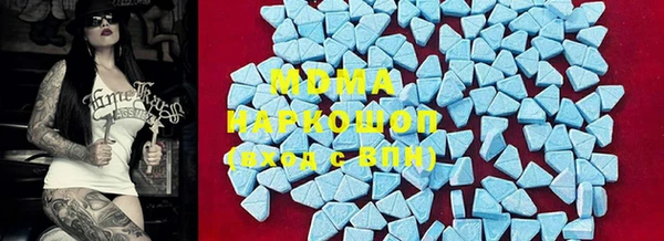 ГАЛЛЮЦИНОГЕННЫЕ ГРИБЫ Лагань