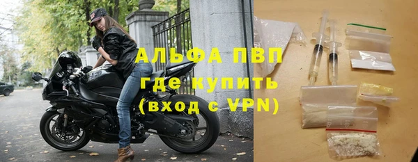 ГАЛЛЮЦИНОГЕННЫЕ ГРИБЫ Лагань