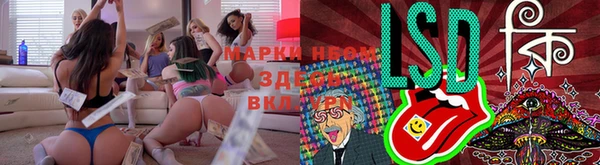 ГАЛЛЮЦИНОГЕННЫЕ ГРИБЫ Лагань
