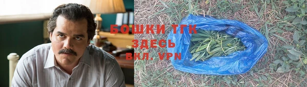 ГАЛЛЮЦИНОГЕННЫЕ ГРИБЫ Лагань