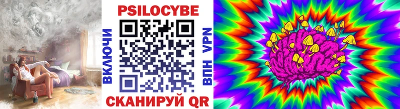Галлюциногенные грибы Cubensis  маркетплейс официальный сайт  Новый Уренгой 