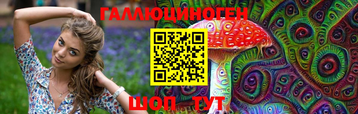 где можно купить   Галлюциногенные грибы ЛСД  Вход с VPN  Новый Уренгой 